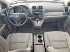 2010 HONDA CR-V