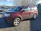 2010 HONDA PILOT