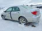 2006 TOYOTA COROLLA