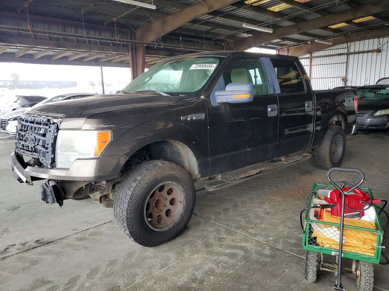 2009 FORD F-150