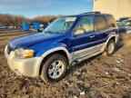2007 FORD ESCAPE