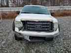 2009 FORD F-150