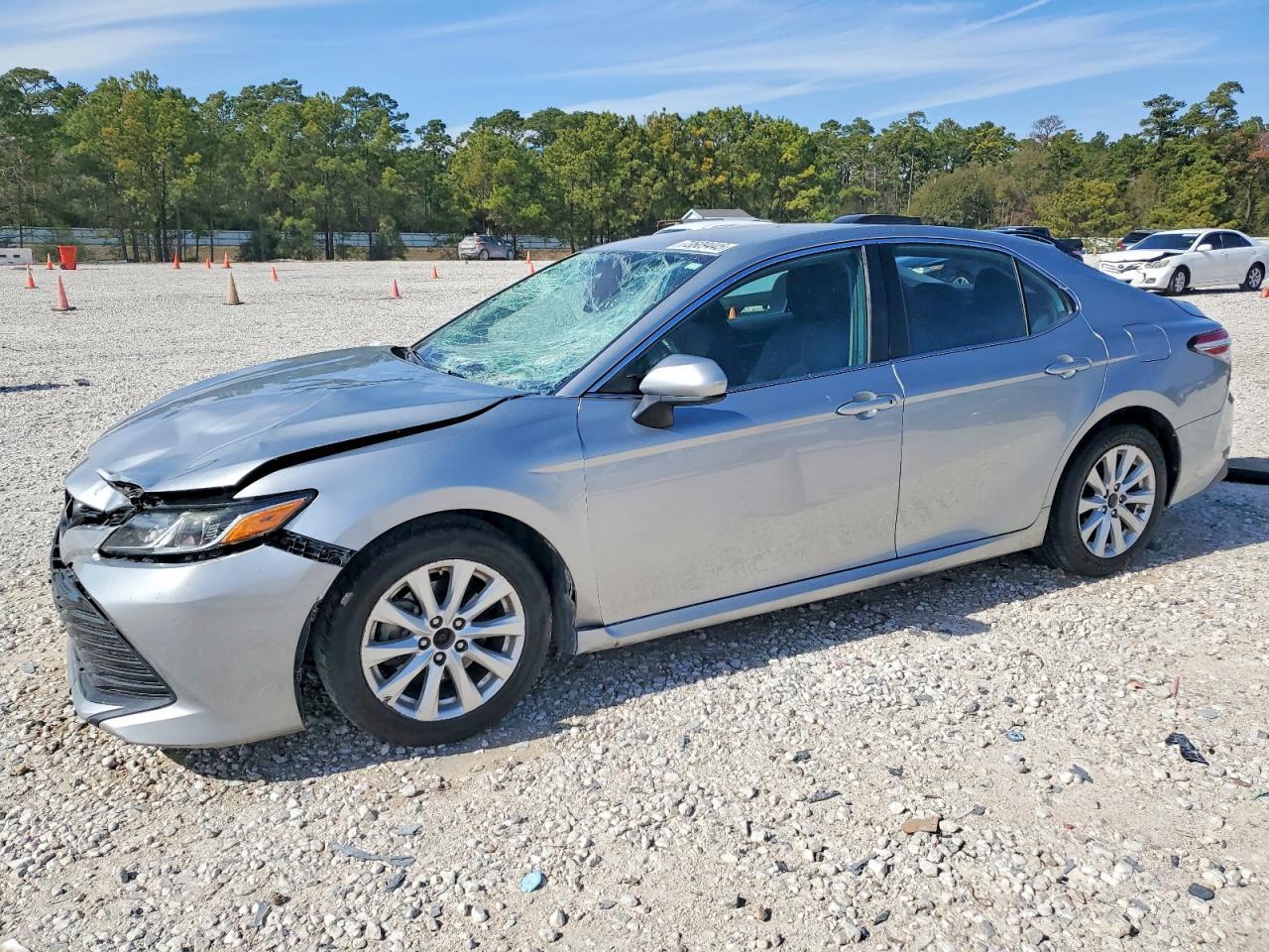 2019 TOYOTA CAMRY