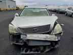 2002 LEXUS Ls 430