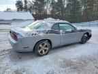 2013 DODGE Challenger