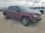 2013 HONDA Ridgeline