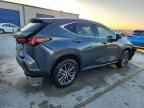 2024 LEXUS NX 250