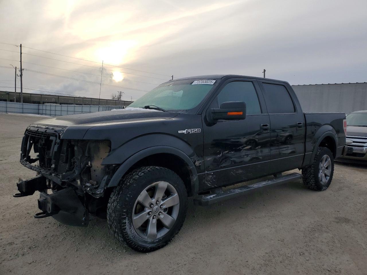 2013 FORD F-150