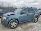 2010 FORD ESCAPE