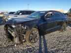 2025 AUDI Q8