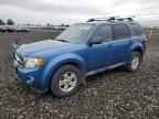 2009 FORD ESCAPE