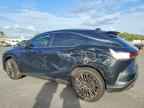 2025 LEXUS Rx