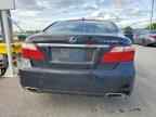 2011 LEXUS LS 460