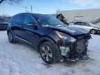 2022 KIA Niro