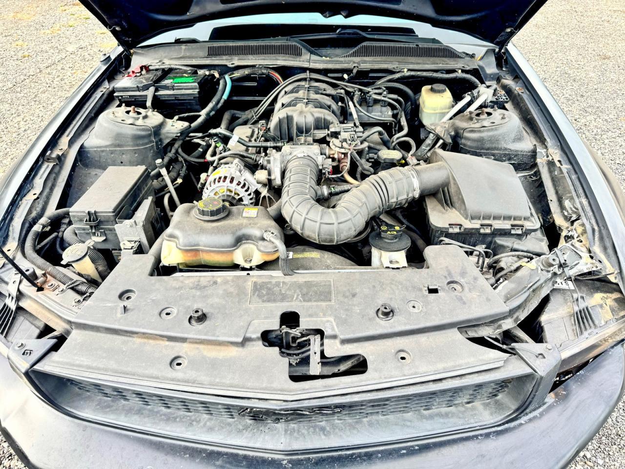 2006 FORD MUSTANG