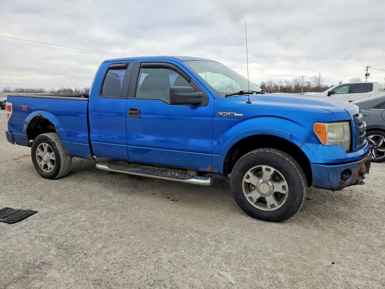 2010 FORD F-150