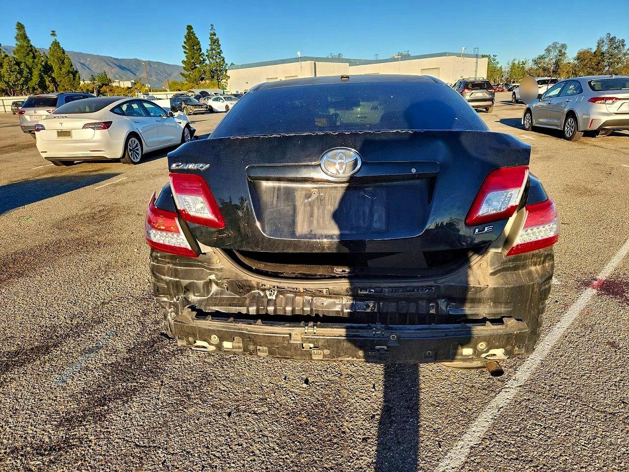 2010 TOYOTA CAMRY