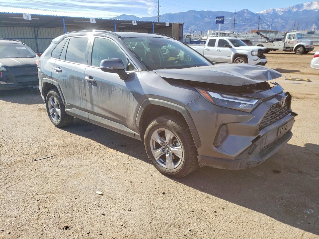 2023 TOYOTA RAV4