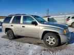 2002 CHEVROLET Trailblazer