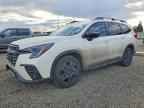 2024 SUBARU Ascent