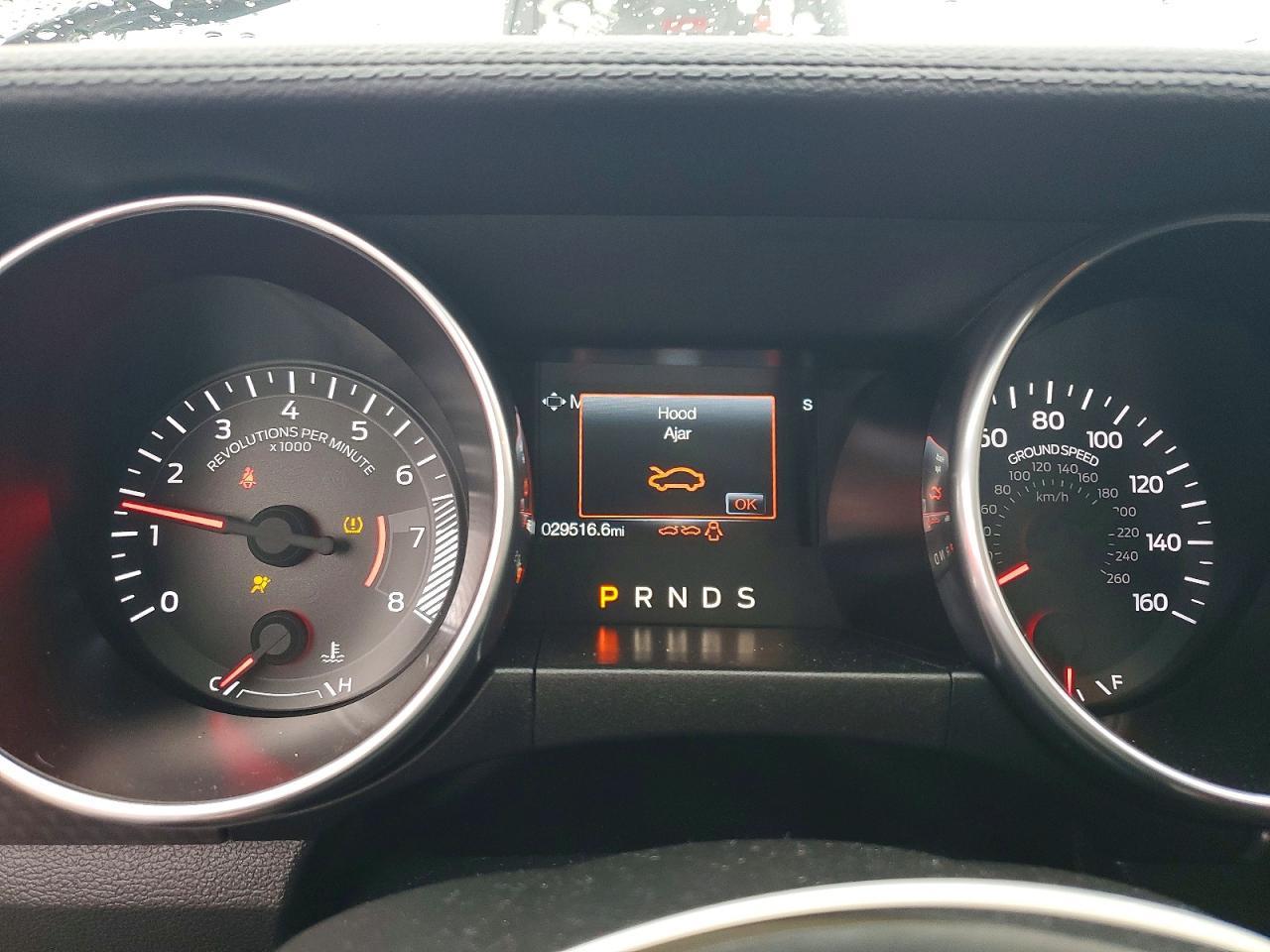 2019 FORD MUSTANG