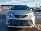2023 TOYOTA SIENNA