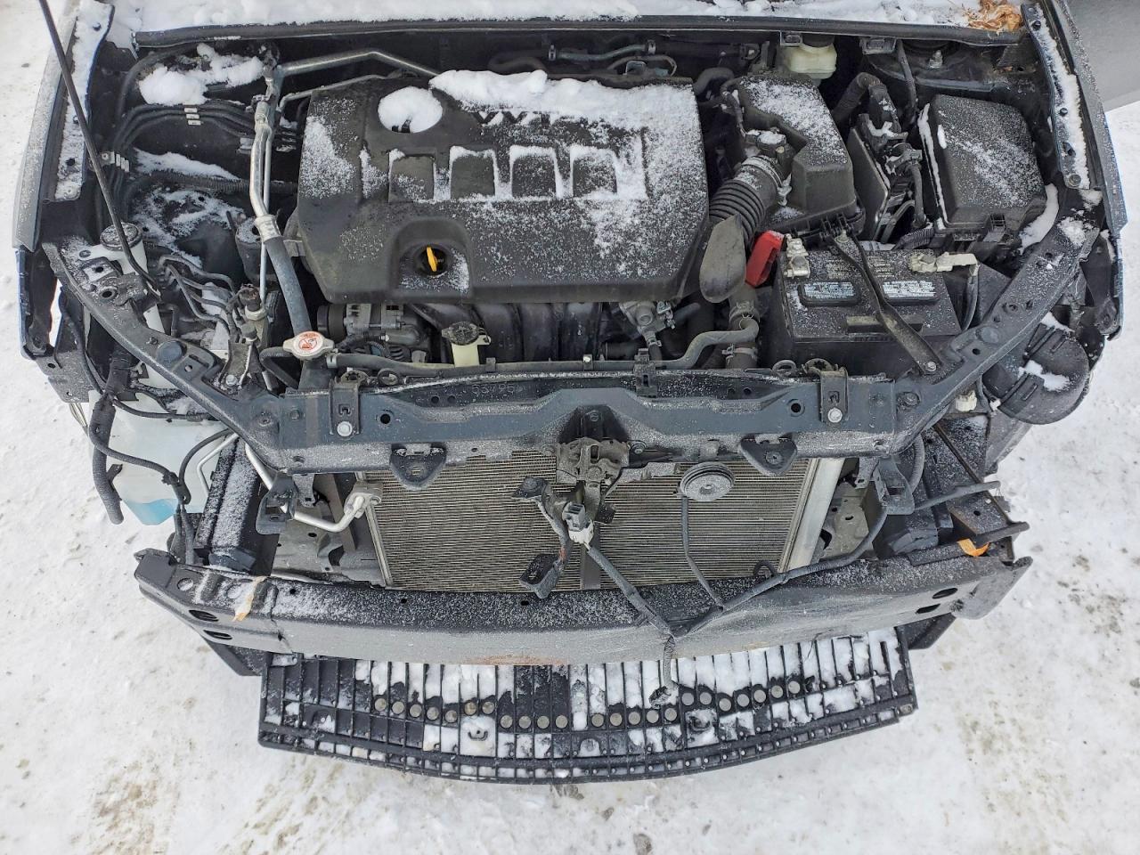 2019 TOYOTA COROLLA