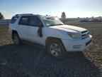 2005 TOYOTA 4Runner