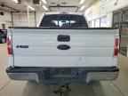 2009 FORD F-150