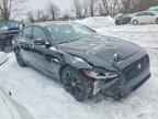 2024 JAGUAR XF