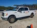 2013 FORD F-150 Lightning