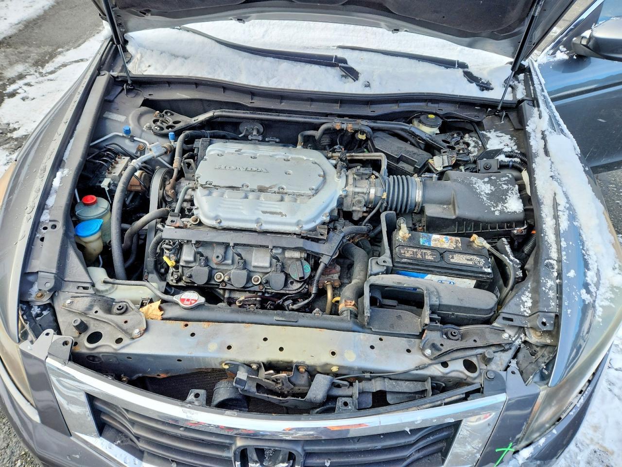 2010 HONDA ACCORD