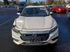 2019 HONDA Insight