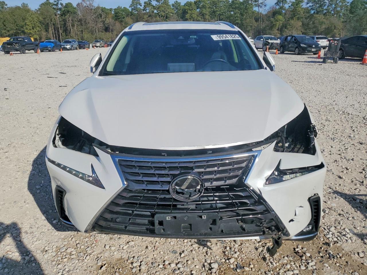 2018 LEXUS NX 300