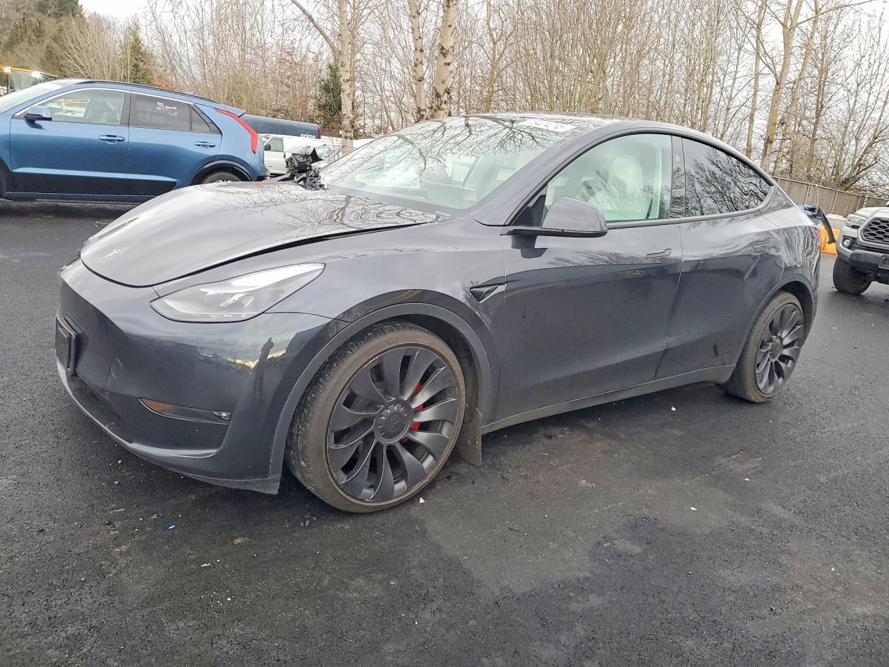 2024 TESLA MODEL Y