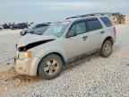 2009 FORD ESCAPE