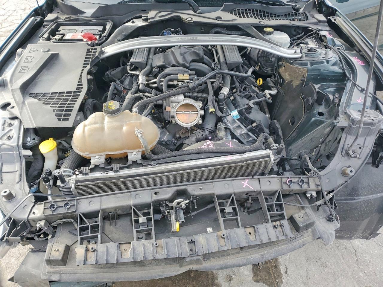 2019 FORD MUSTANG