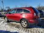 2010 HONDA CR-V