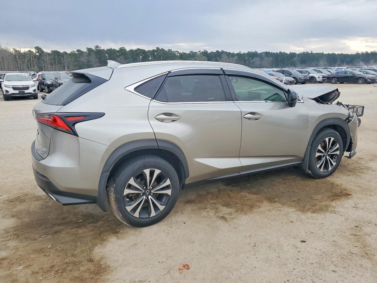 2020 LEXUS NX 300
