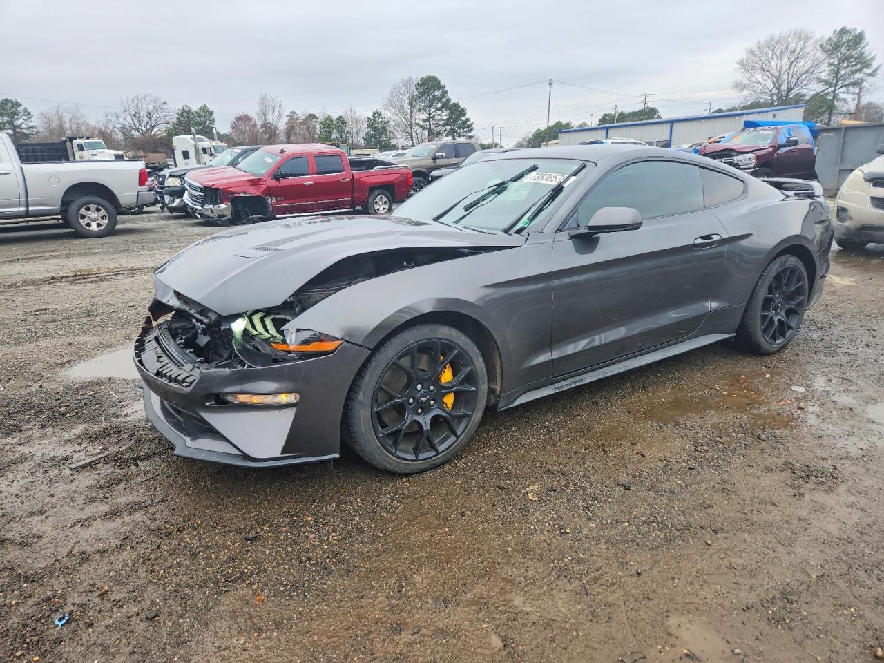 2019 FORD MUSTANG