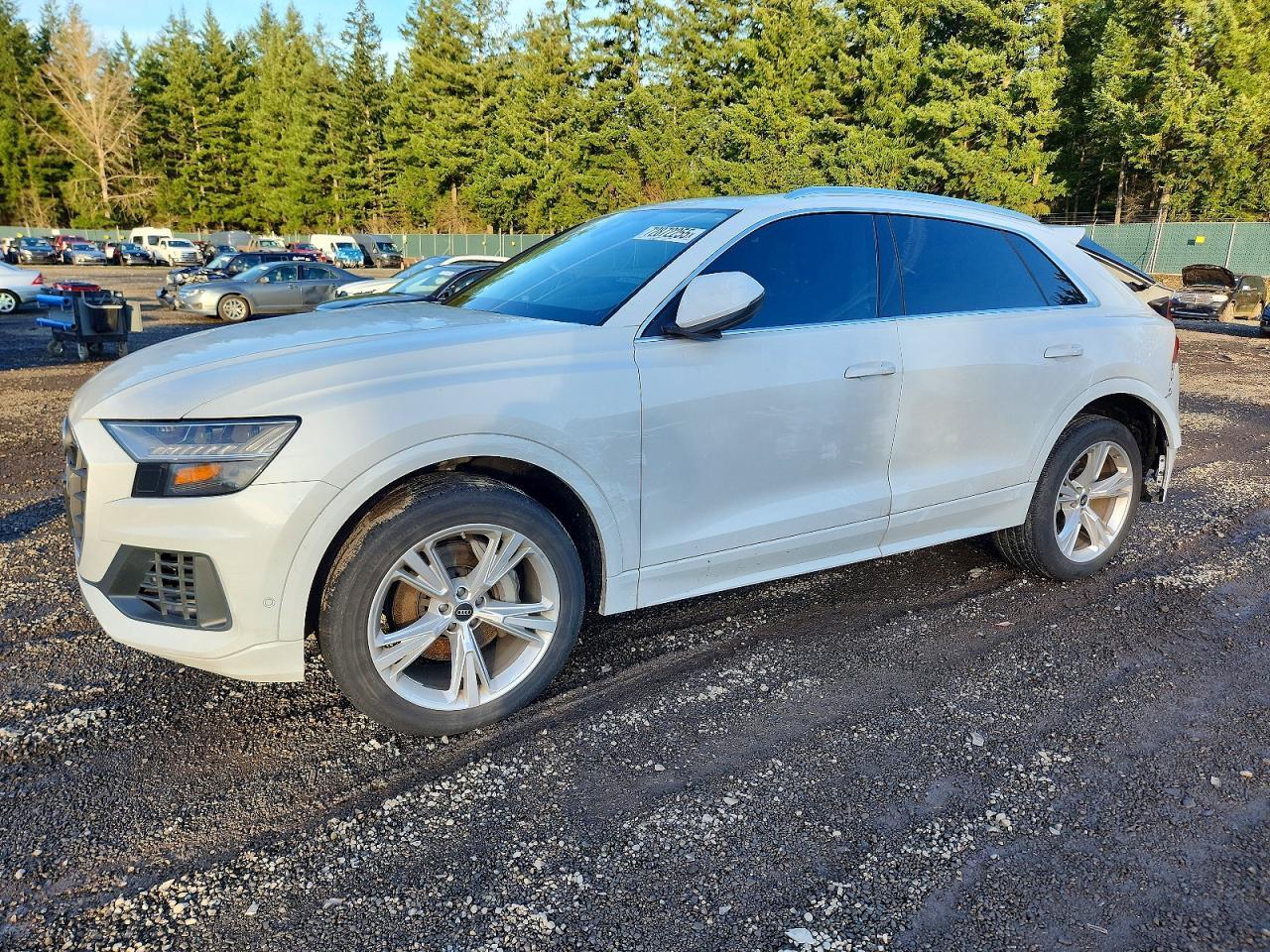 2023 AUDI Q8