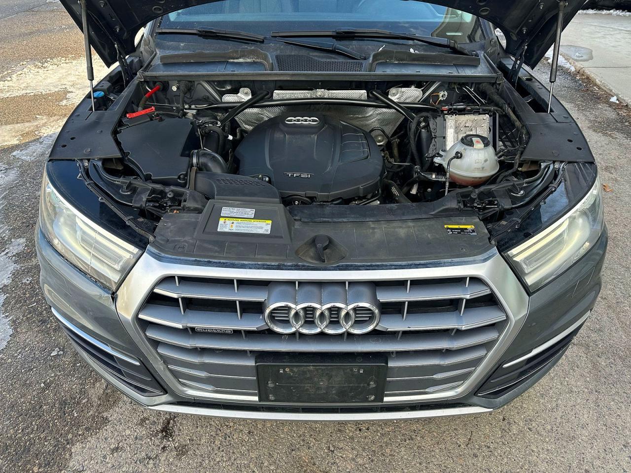 2019 AUDI Q5