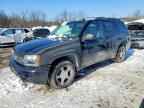 2007 CHEVROLET Trailblazer