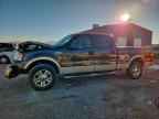 2007 FORD F-150 Lightning