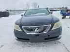 2007 LEXUS LS 460