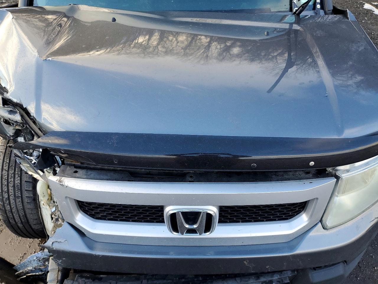 2010 HONDA Element