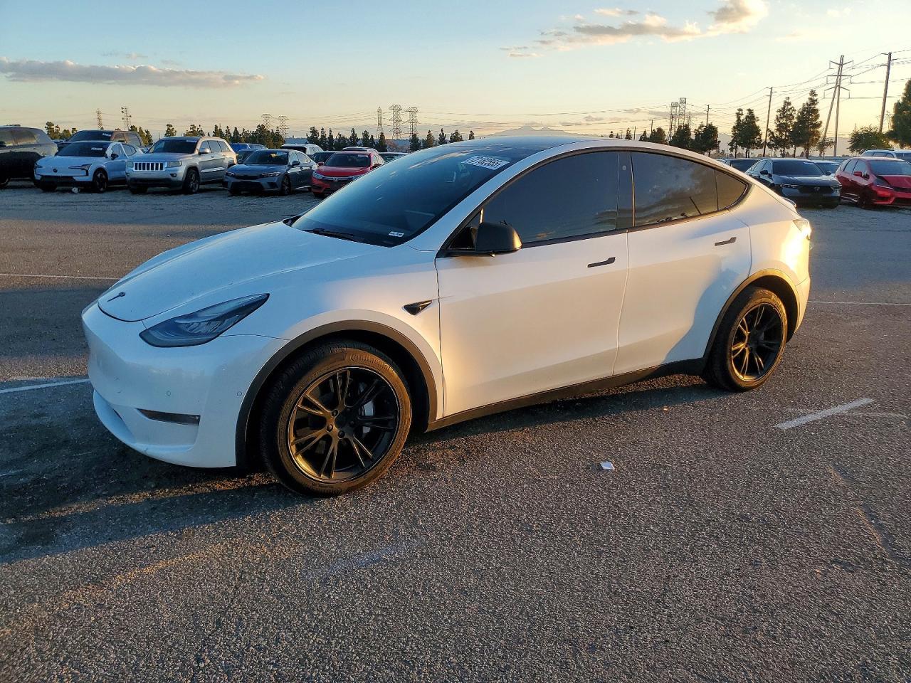2020 TESLA MODEL Y