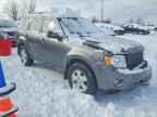 2009 FORD ESCAPE