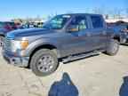 2010 FORD F-150