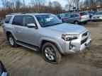 2024 TOYOTA 4Runner